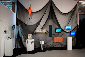 The Animal Museum virtual tour