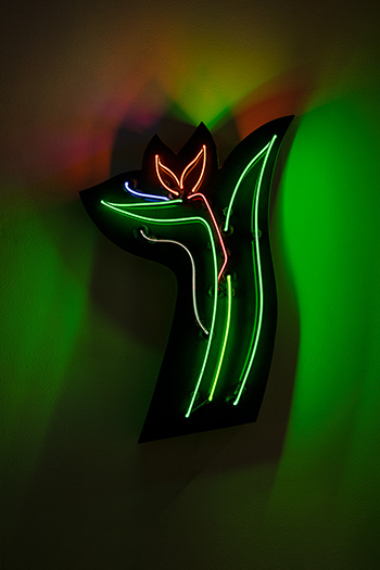 Bird of Paradise - Lili Lakich