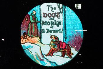Magic lantern slide - The Animal Museum
