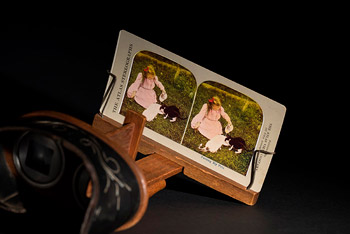 Stereo card - The Animal Museum